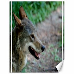 Red Wolf Canvas 12  X 16  (unframed) by AnimalLover