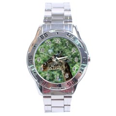 Cute Giraffe Stainless Steel Watch (men s) by AnimalLover