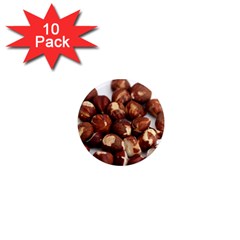 Hazelnuts 1  Mini Button Magnet (10 Pack) by hlehnerer