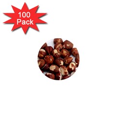 Hazelnuts 1  Mini Button Magnet (100 Pack) by hlehnerer