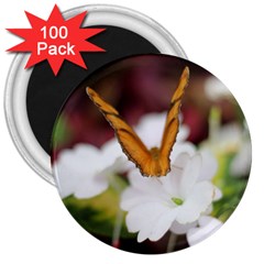 Butterfly 159 3  Button Magnet (100 Pack)