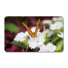 Butterfly 159 Magnet (rectangular) by pictureperfectphotography