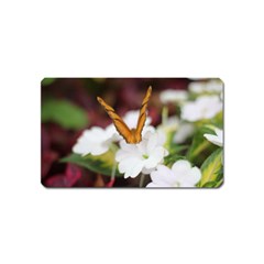 Butterfly 159 Magnet (name Card)