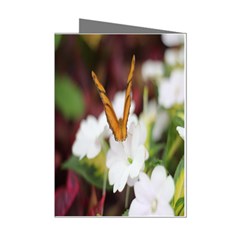 Butterfly 159 Mini Greeting Card (8 Pack) by pictureperfectphotography