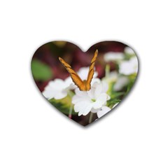 Butterfly 159 Drink Coasters 4 Pack (heart)  by pictureperfectphotography