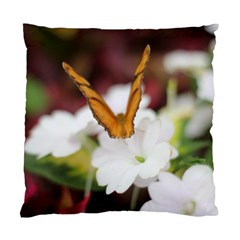 Butterfly 159 Cushion Case (one Side) by pictureperfectphotography