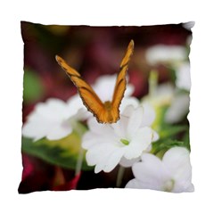 Butterfly 159 Cushion Case (two Sides) by pictureperfectphotography