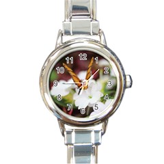 Butterfly 159 Round Italian Charm Watch