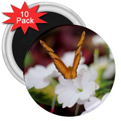 Butterfly 159 3  Button Magnet (10 Pack) by pictureperfectphotography