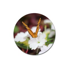 Butterfly 159 Magnet 3  (round) by pictureperfectphotography