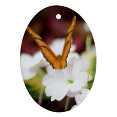Butterfly 159 Oval Ornament by pictureperfectphotography