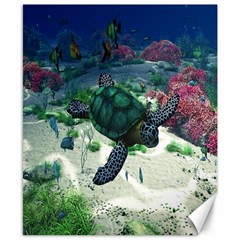 Sea Turtle Canvas 8  X 10 