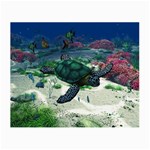 Sea Turtle Glasses Cloth (Small, Two Sides) Front