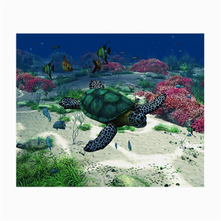 Sea Turtle Glasses Cloth (Small, Two Sides)