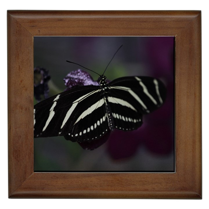 Butterfly 059 001 Framed Ceramic Tile