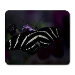 Butterfly 059 001 Large Mouse Pad (rectangle) by pictureperfectphotography