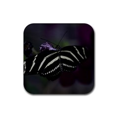 Butterfly 059 001 Drink Coaster (square) by pictureperfectphotography