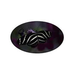 Butterfly 059 001 Sticker (oval) by pictureperfectphotography