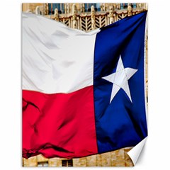 Texas Canvas 18  X 24  (unframed)