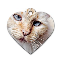 Blue Eyes Dog Tag Heart (one Sided) 