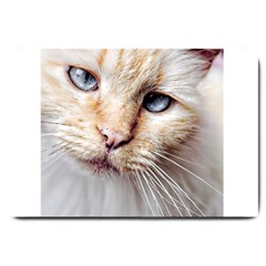 Blue Eyes Large Door Mat by dray6389