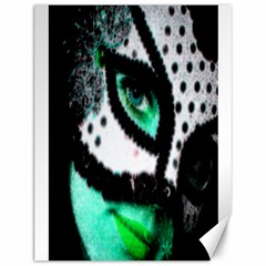 Masked Canvas 12  X 16  (unframed)
