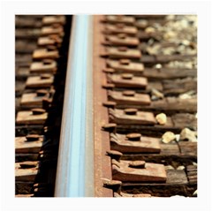 Train Track Glasses Cloth (medium) by hlehnerer