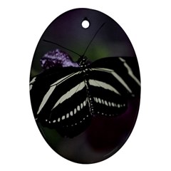 Butterfly 059 001 Oval Ornament by pictureperfectphotography