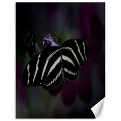 Butterfly 059 001 Canvas 12  X 16  (unframed)