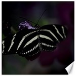 Butterfly 059 001 Canvas 16  x 16  (Unframed) 15.2 x15.41  Canvas - 1