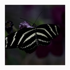 Butterfly 059 001 Glasses Cloth (medium) by pictureperfectphotography