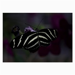 Butterfly 059 001 Glasses Cloth (large, Two Sided) by pictureperfectphotography