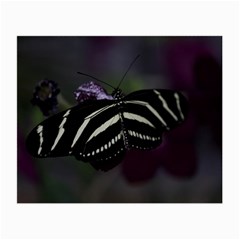 Butterfly 059 001 Glasses Cloth (small, Two Sided) by pictureperfectphotography