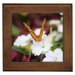Butterfly 159 Framed Ceramic Tile