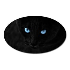 Black Cat Magnet (oval) by cutepetshop
