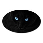 Black Cat Magnet (Oval) Front