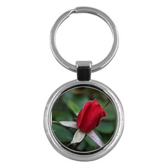 Sallys Flowers 032 001 Key Chain (round) by pictureperfectphotography
