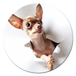 Chihuahua Magnet 5  (Round)