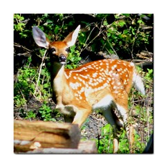 Fawn Ceramic Tile by MaxsGiftBox