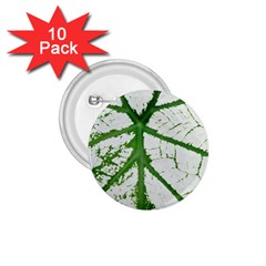 Leaf Patterns 1 75  Button (10 Pack) by natureinmalaysia