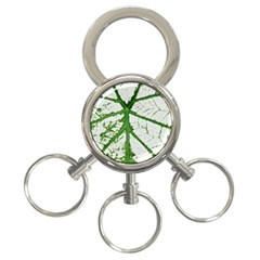 Leaf Patterns 3-ring Key Chain by natureinmalaysia