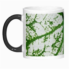 Leaf Patterns Morph Mug