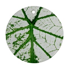 Leaf Patterns Round Ornament (two Sides) by natureinmalaysia