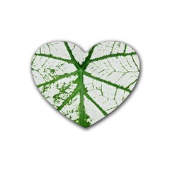 Leaf Patterns Drink Coasters 4 Pack (heart)  by natureinmalaysia