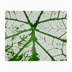 Leaf Patterns Glasses Cloth (small, Two Sided) by natureinmalaysia