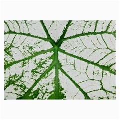 Leaf Patterns Glasses Cloth (large) by natureinmalaysia