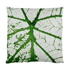Leaf Patterns Cushion Case (two Sides) by natureinmalaysia