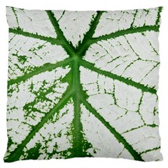 Leaf Patterns Large Cushion Case (two Sides) by natureinmalaysia