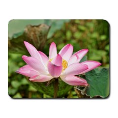 A Pink Lotus Small Mouse Pad (rectangle)