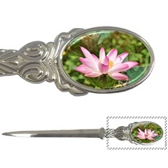 A Pink Lotus Letter Opener by natureinmalaysia